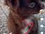 Immagine 3
