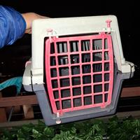 trasportino  gatto coniglio 