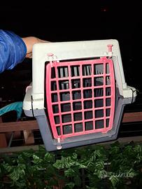 trasportino  gatto coniglio 