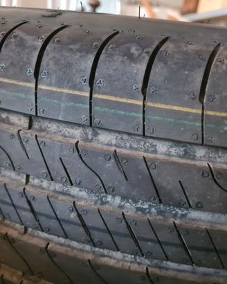 Gomme Estive