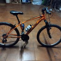 bicicletta OLMO