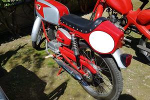 Ciclomotore vintage Morini Corsarino