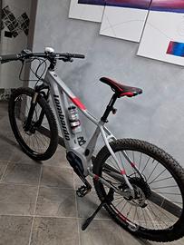 biciclette elettrica 