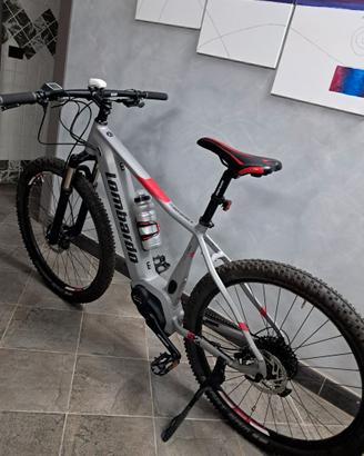 biciclette elettrica 