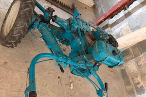 taglia erba perfetto