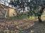 Immagine 17