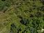 Immagine 19