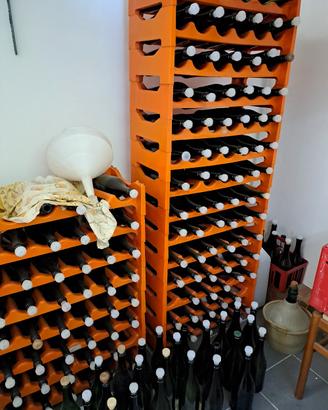 100 Bottiglie da 750 ml in vetro