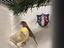 Immagine 1