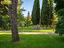 Immagine 20