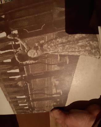 Vinile Orietta berti