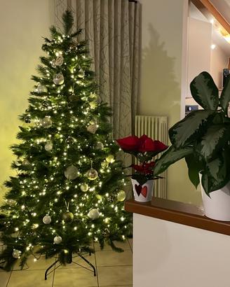 Albero di Natale 2.10mt