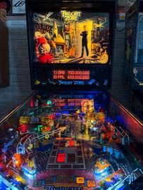 Flipper twilight zone