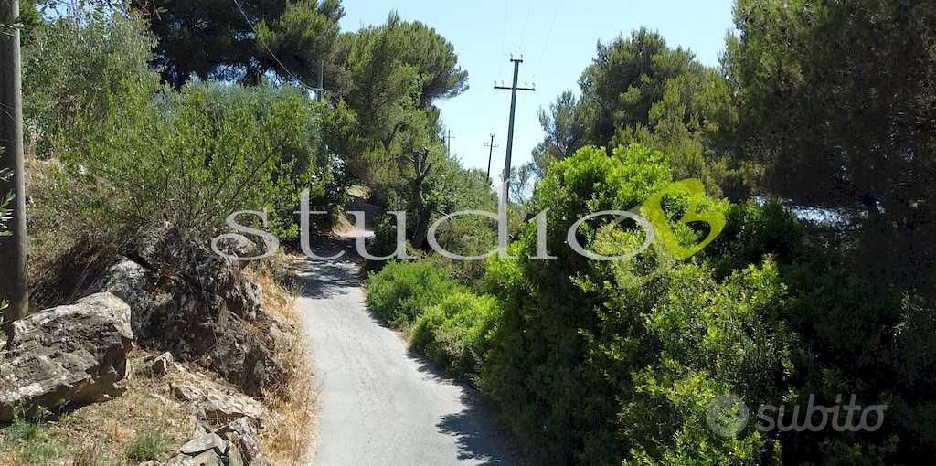 Terreno Edificabile a Seborga - Vista 5