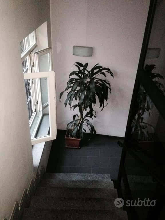 Monolocale a Torino, foto 10 di 26