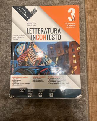 Letteratura incontesto 3