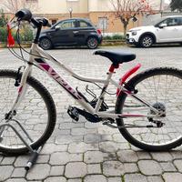 Bici mtb da 24