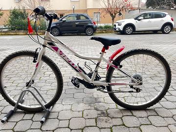 Bici mtb da 24