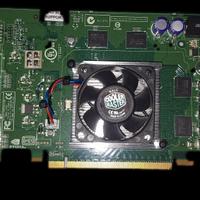 Scheda video PNY GPU Nvidia QuadroFX 550