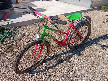 Bicicletta adulti
