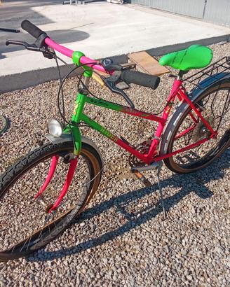 Bicicletta adulti
