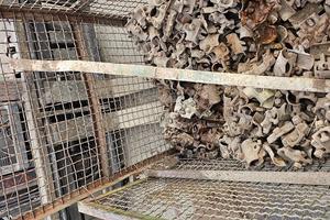 Stock morsetti per tubi innocenti