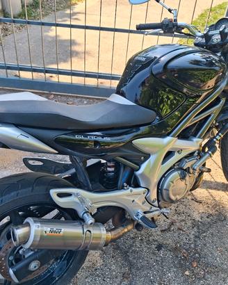 moto Suzuki Gladius