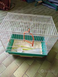 gabbia per uccelli