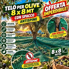 Telomper olive 8x8 mt con spacco e anspine
