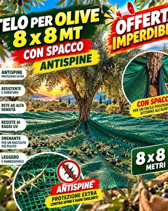 Telomper olive 8x8 mt con spacco e anspine