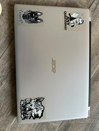 Acer portatile