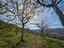 Immagine 25