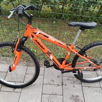bici 24 bambino 