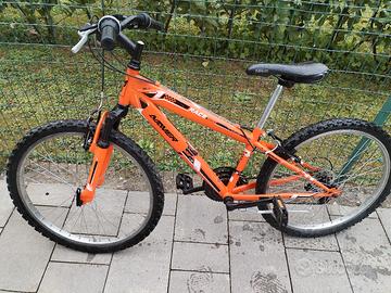 bici 24 bambino 
