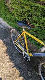Bici uomo olivieri