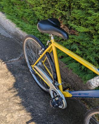 Bici uomo olivieri