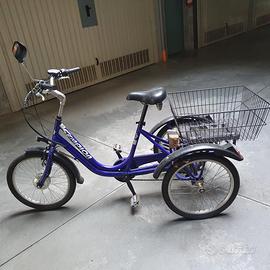Triciclo con pedalata assistita