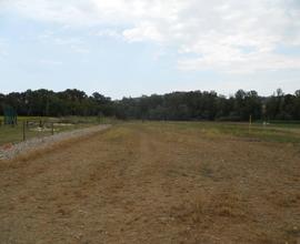 TERRENO AGRICOLO A CONGIUNTI