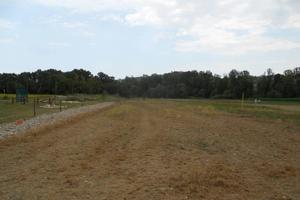 TERRENO AGRICOLO A CONGIUNTI