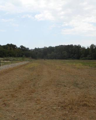 TERRENO AGRICOLO A CONGIUNTI