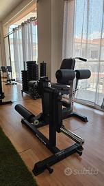Leg extension Leg Curl "Kingsgym"