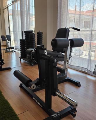 Leg extension Leg Curl "Kingsgym"