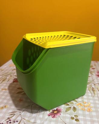 Orto fresco Tupperware verde 