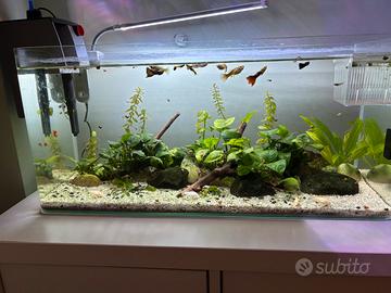 Acquario completo