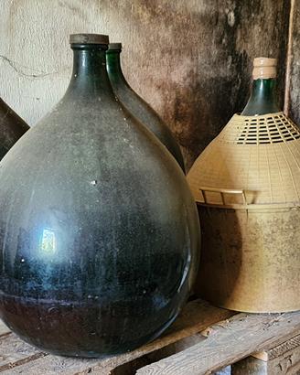 Vino spunto in dammigiane da 54 litri