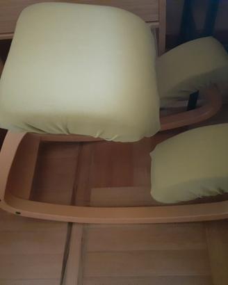 Fodere + imbottitura per sedia Varier/Stokke