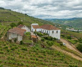 Quinta no Douro , Régua Portugal