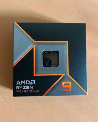 Processore AMD Ryzen 9 9900x
