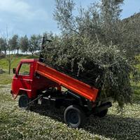 Motoagricola Mariniello Diana 4x4