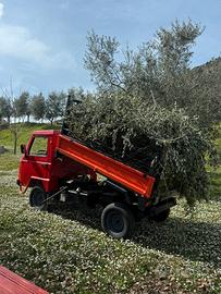 Motoagricola Mariniello Diana 4x4